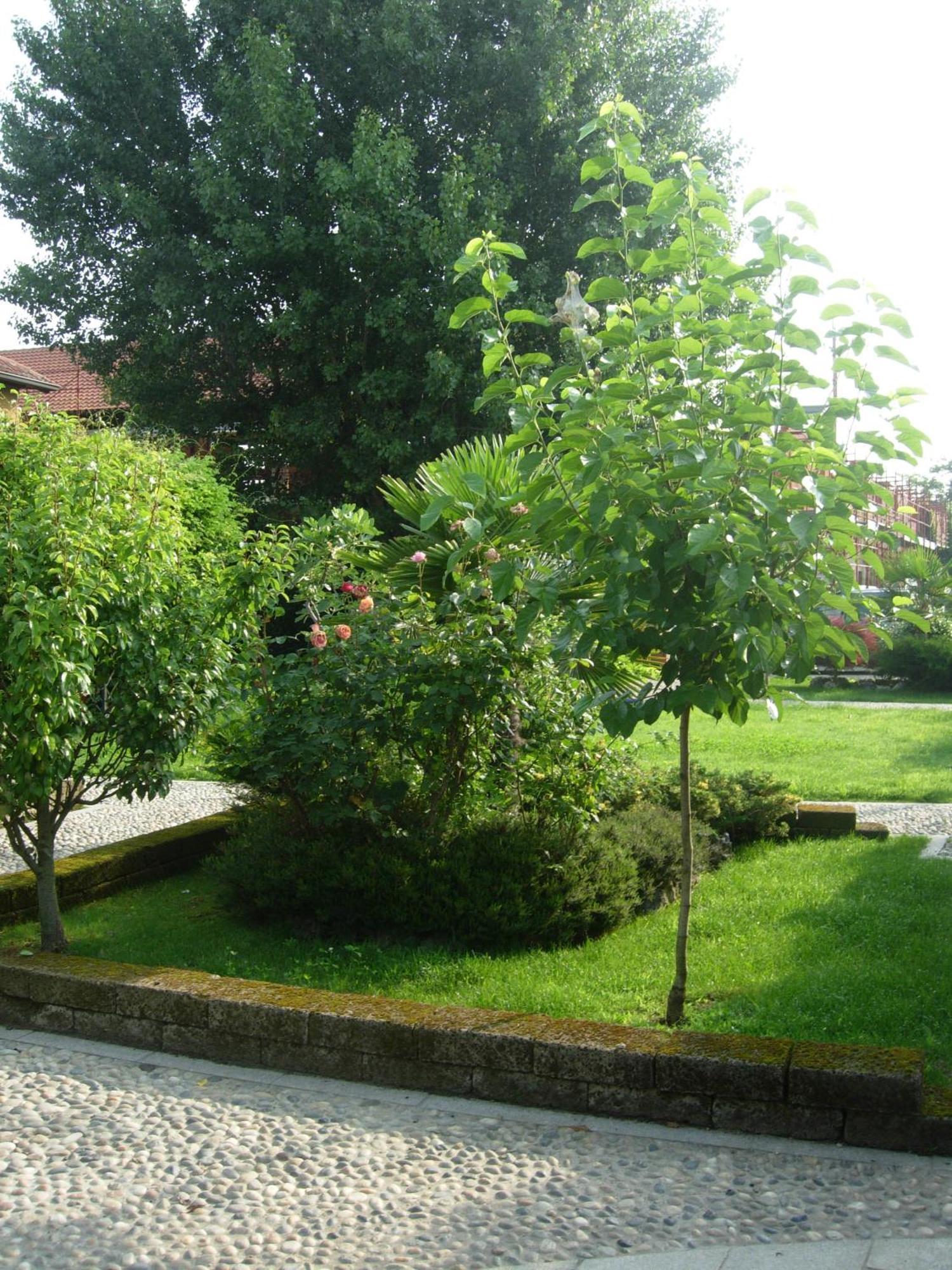 B&B Il Pioppo E La Fonte Castello d'Agogna Bagian luar foto