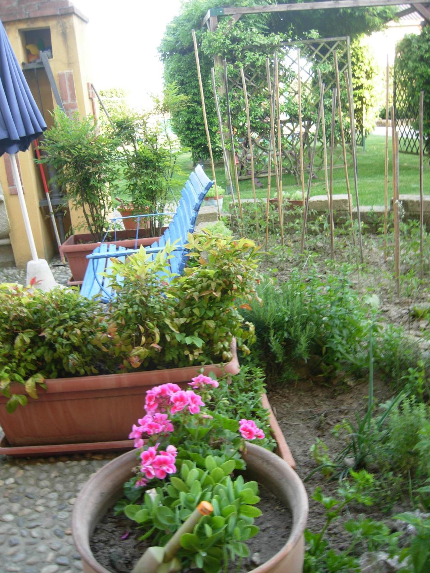 B&B Il Pioppo E La Fonte Castello d'Agogna Bagian luar foto